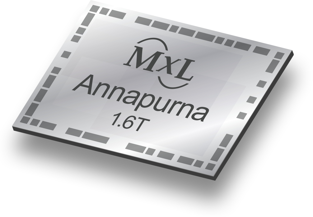 224G DSP for Scale-up Retimers and AEC